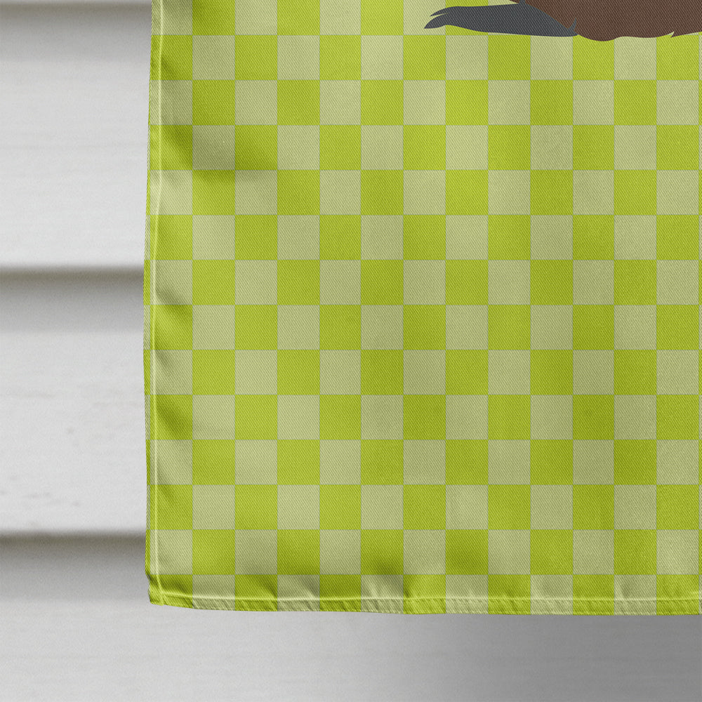 Eurasian Beaver Green House Flag 28x40 Porch Sleeve Pole Decorative Outside Yard Banner Artwork Wall Hanging, Polyester
