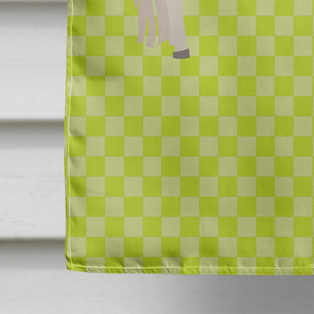 Paso Fino Horse Green House Flag 28x40 Porch Sleeve Pole Decorative Outside Yard Banner Artwork Wall Hanging, Polyester