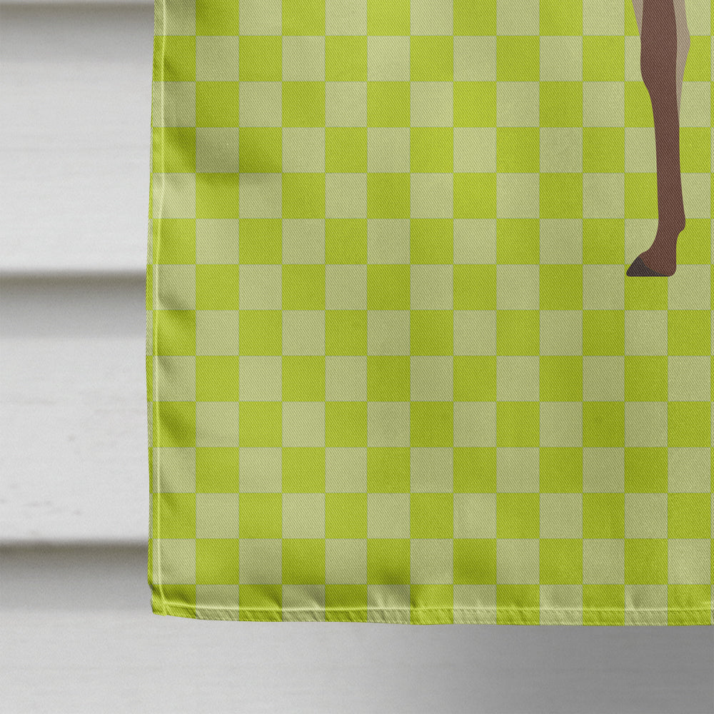 Vicugna or Vicuna Green House Flag 28x40 Porch Sleeve Pole Decorative Outside Yard Banner Artwork Wall Hanging, Polyester