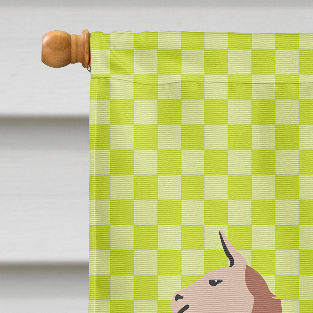 Guanaco Green House Flag 28x40 Porch Sleeve Pole Decorative Outside Yard Banner Artwork Wall Hanging, Polyester