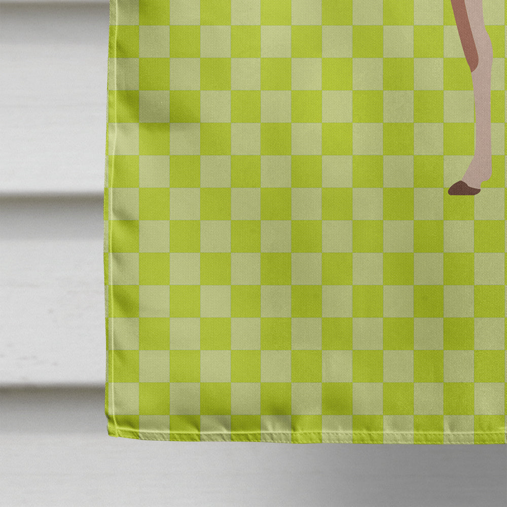 Guanaco Green House Flag 28x40 Porch Sleeve Pole Decorative Outside Yard Banner Artwork Wall Hanging, Polyester