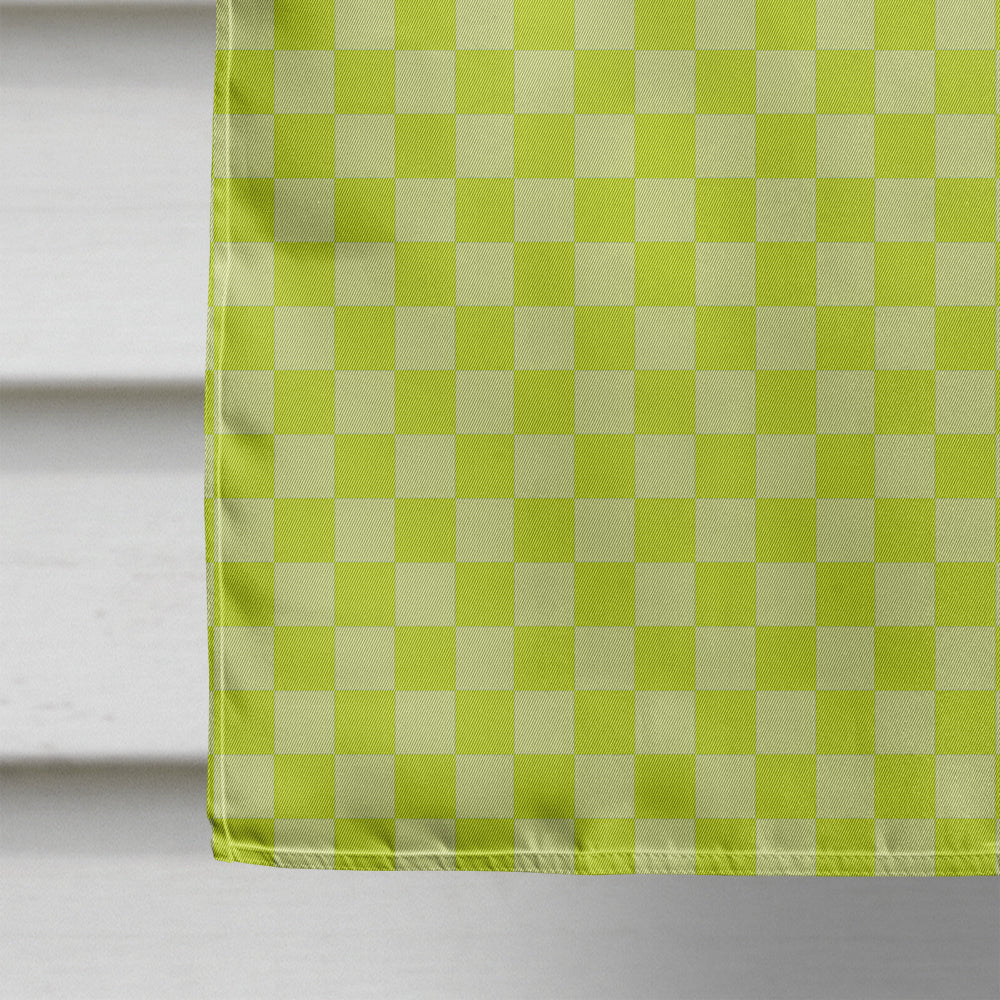 Rhea Green House Flag 28x40 Porch Sleeve Pole Decorative Outside Yard Banner Artwork Wall Hanging, Polyester