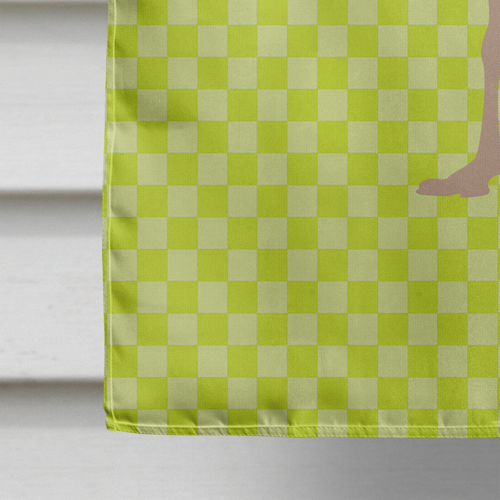 Common Ostrich Green House Flag 28x40 Porch Sleeve Pole Decorative Outside Yard Banner Artwork Wall Hanging, Polyester