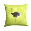 Common Ostrich Green Decorative Throw Pillow 14x14 Indoor Outdoor Accent Cushion, Fabric Cover with Insert for Sofa, Bed, Porch & Living Room