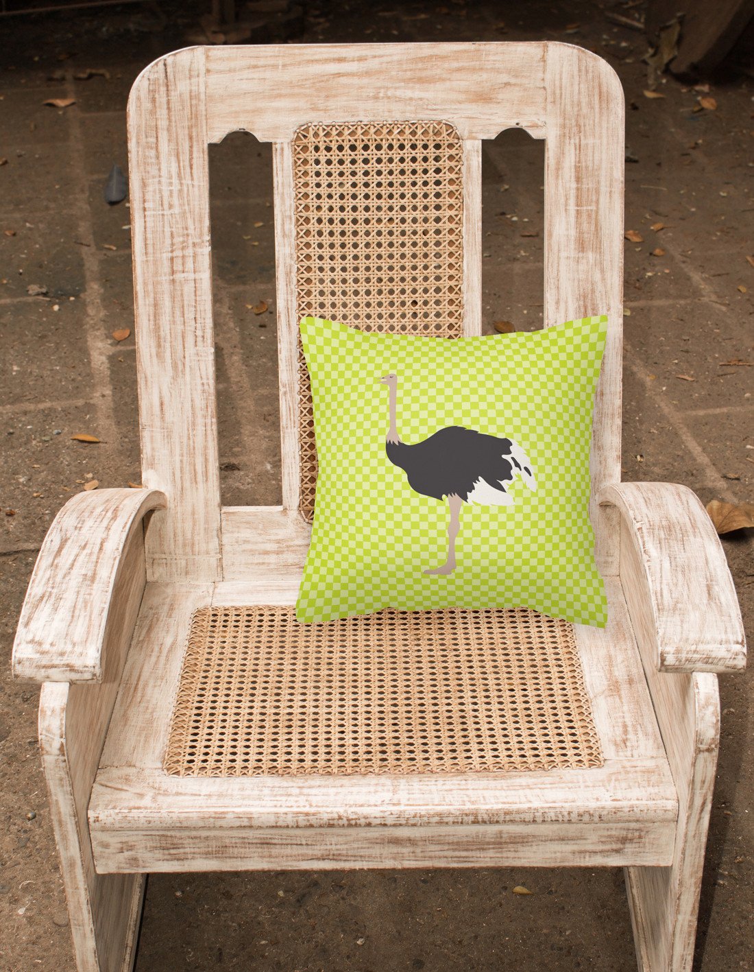 Common Ostrich Green Decorative Throw Pillow 18x18 Indoor Outdoor Accent Cushion, Fabric Cover with Insert for Sofa, Bed, Porch & Living Room