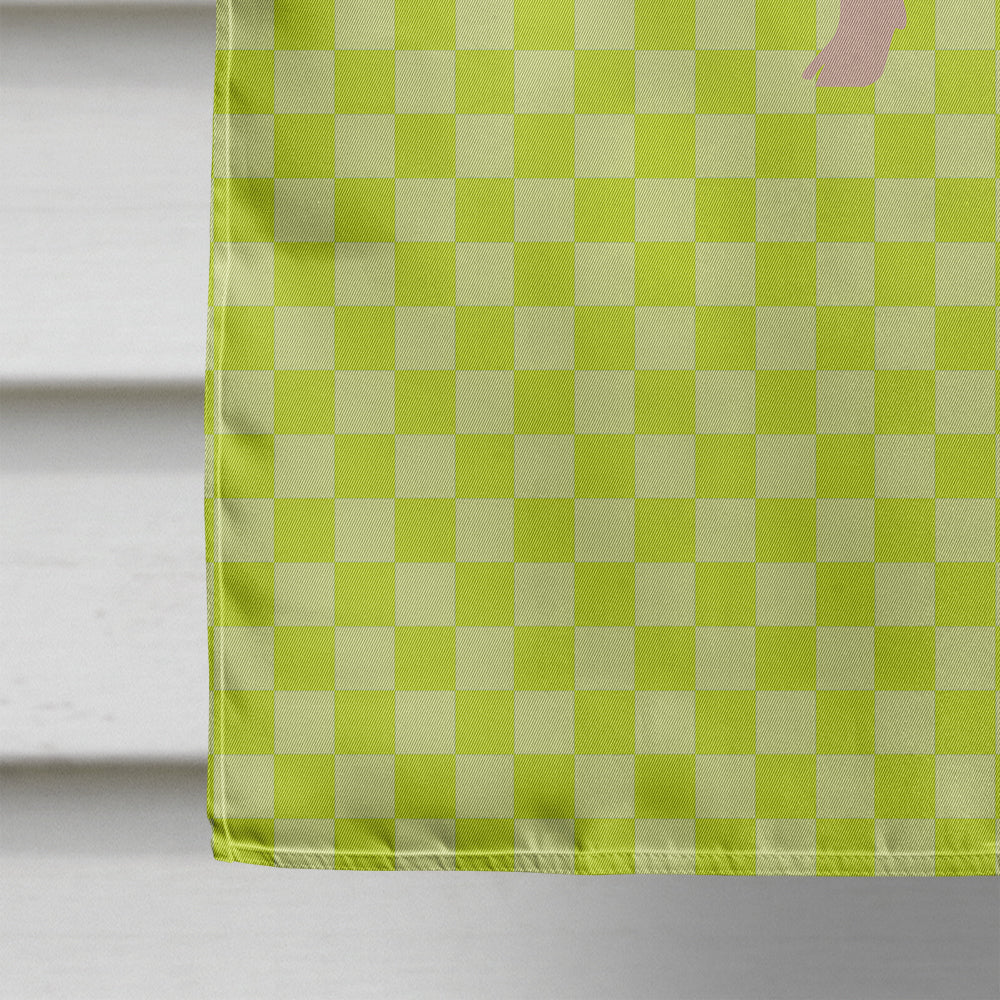 Welsh Pig Green House Flag 28x40 Porch Sleeve Pole Decorative Outside Yard Banner Artwork Wall Hanging, Polyester