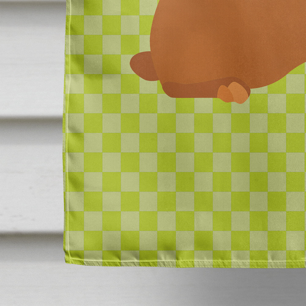 Rex Rabbit Green House Flag 28x40 Porch Sleeve Pole Decorative Outside Yard Banner Artwork Wall Hanging, Polyester