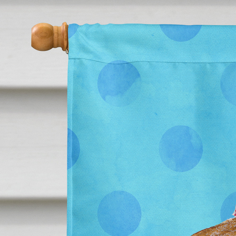 Sea Shell Blue Polkadot House Flag 28x40 Porch Sleeve Pole Decorative Outside Yard Banner Artwork Wall Hanging, Polyester
