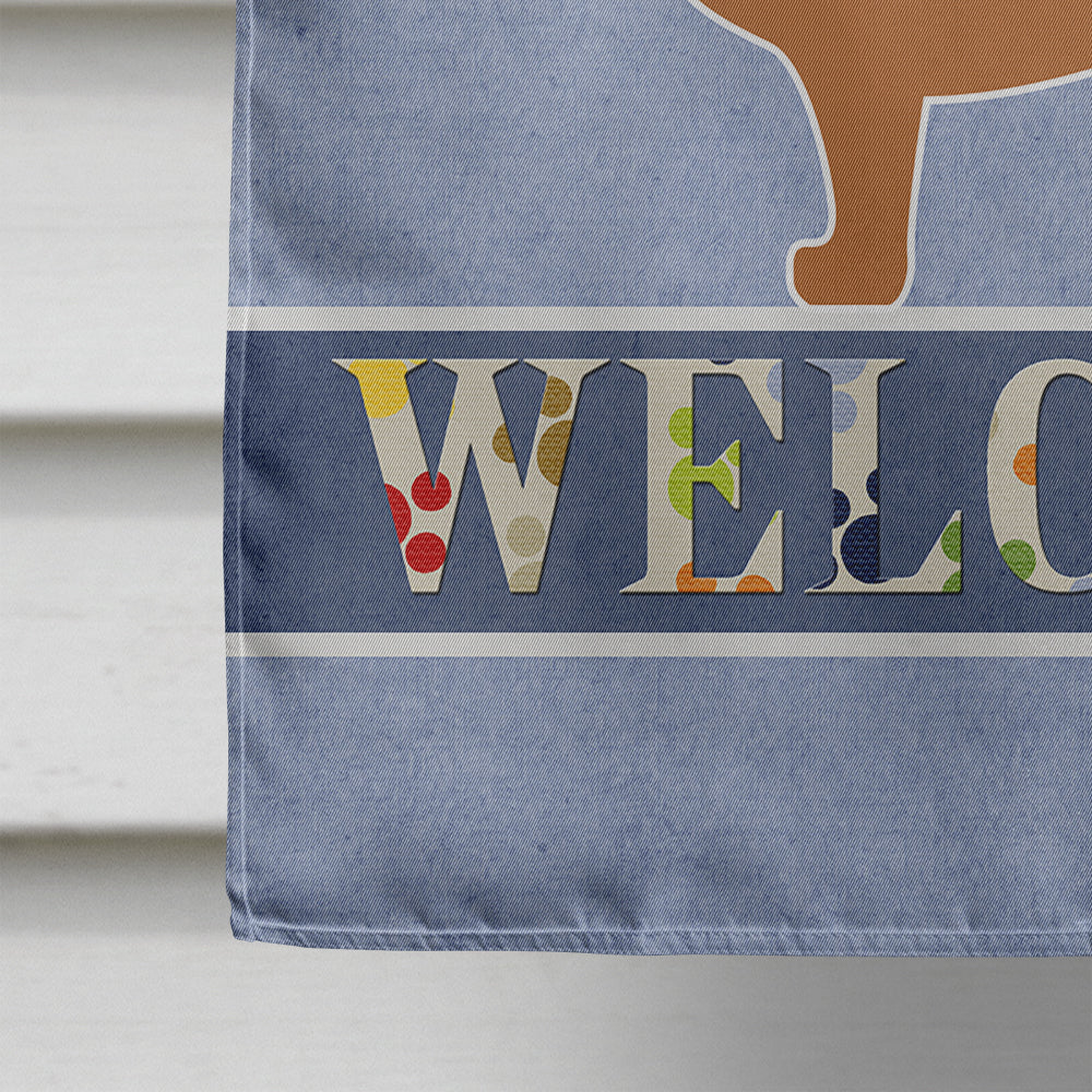 Alpine Dachsbrake Welcome House Flag 28x40 Porch Sleeve Pole Decorative Outside Yard Banner Artwork Wall Hanging, Polyester