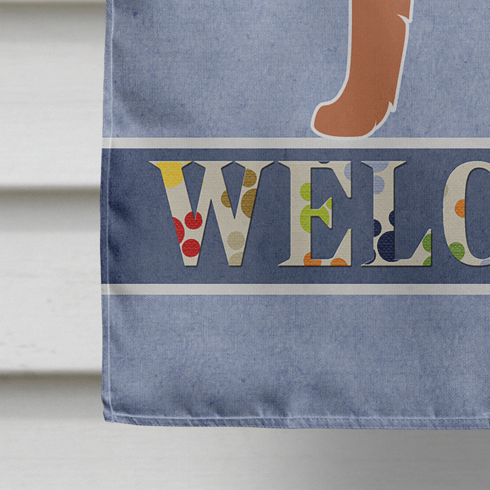 Irish Terrier Welcome House Flag 28x40 Porch Sleeve Pole Decorative Outside Yard Banner Artwork Wall Hanging, Polyester
