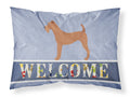 Irish Terrier Welcome Standard Pillowcase Lightweight Super Soft Easy Care Decorative Artwork Pillowcase, Standard