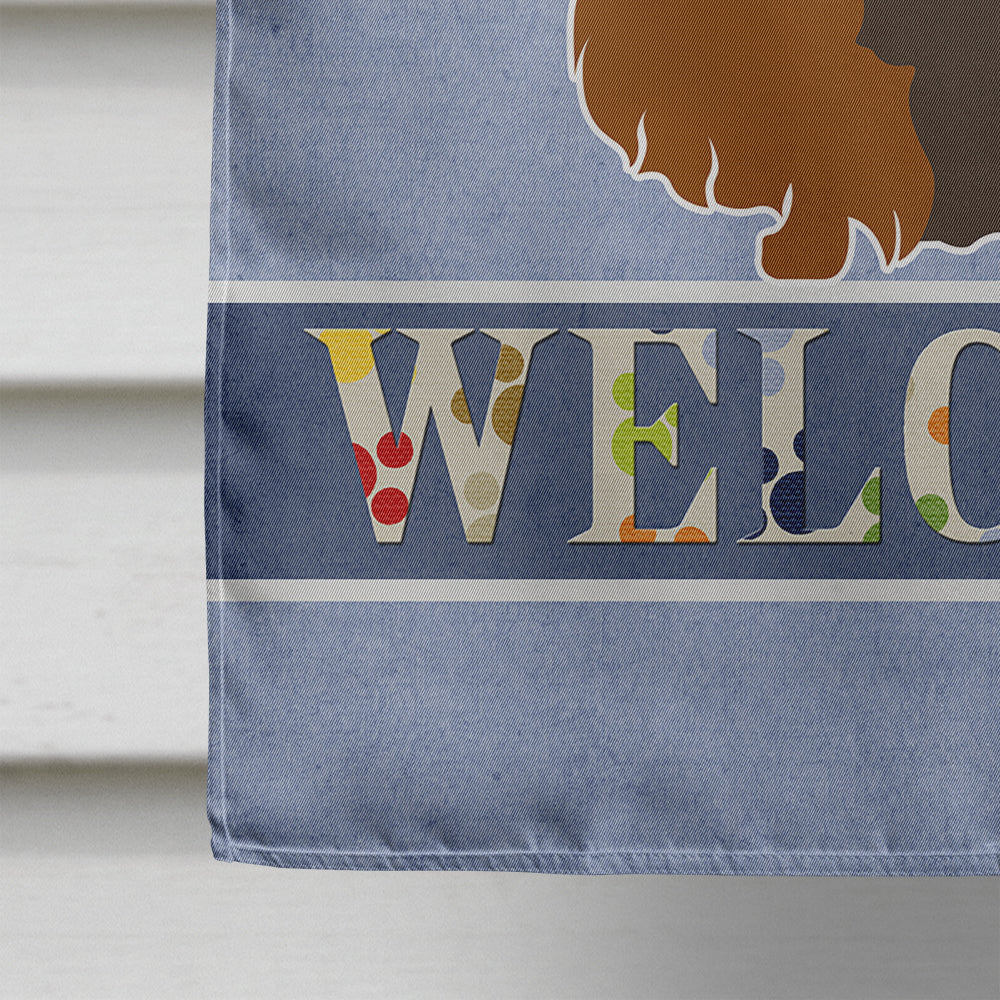 Longhaired Dachshund Welcome House Flag 28x40 Porch Sleeve Pole Decorative Outside Yard Banner Artwork Wall Hanging, Polyester