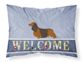 Longhaired Dachshund Welcome Standard Pillowcase Lightweight Super Soft Easy Care Decorative Artwork Pillowcase, Standard