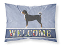 Appenzeller Sennenhund Welcome Standard Pillowcase Lightweight Super Soft Easy Care Decorative Artwork Pillowcase, Standard