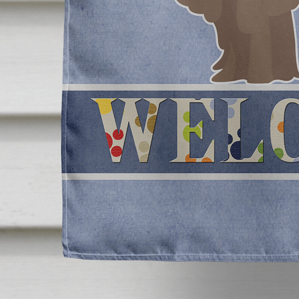 Bergamasco Shepherd Welcome House Flag 28x40 Porch Sleeve Pole Decorative Outside Yard Banner Artwork Wall Hanging, Polyester