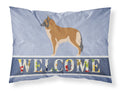 Belgian Tervuren Welcome Standard Pillowcase Lightweight Super Soft Easy Care Decorative Artwork Pillowcase, Standard