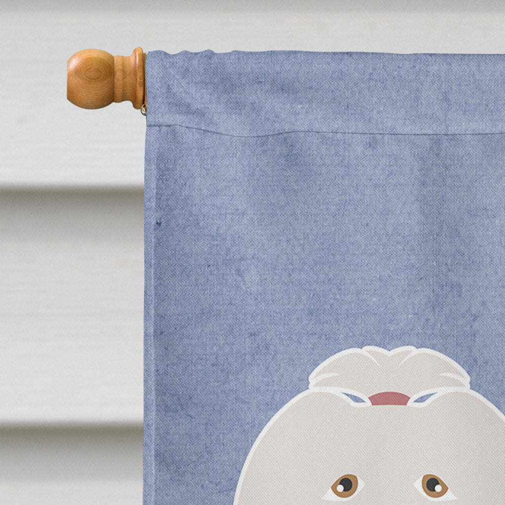 Lhasa Apso Welcome House Flag 28x40 Porch Sleeve Pole Decorative Outside Yard Banner Artwork Wall Hanging, Polyester
