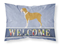 Belgium Mastiff Welcome Standard Pillowcase Lightweight Super Soft Easy Care Decorative Artwork Pillowcase, Standard
