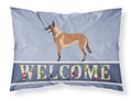 Malinois Belgian Shepherd  Standard Pillowcase Lightweight Super Soft Easy Care Decorative Artwork Pillowcase, Standard