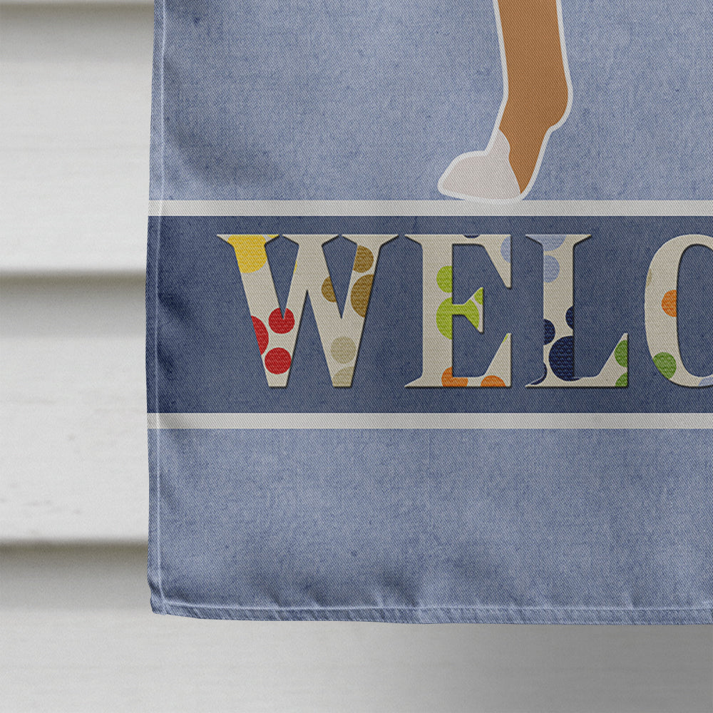 Telomian Welcome House Flag 28x40 Porch Sleeve Pole Decorative Outside Yard Banner Artwork Wall Hanging, Polyester