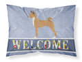 Telomian Welcome Standard Pillowcase Lightweight Super Soft Easy Care Decorative Artwork Pillowcase, Standard