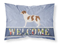 Aidi Atlas Mountain Dog Standard Pillowcase Lightweight Super Soft Easy Care Decorative Artwork Pillowcase, Standard