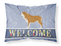 Mastin Epanol Spanish Mastiff Standard Pillowcase Lightweight Super Soft Easy Care Decorative Artwork Pillowcase, Standard