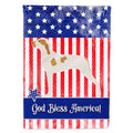 Ariege Pointer American House Flag 28x40 Porch Sleeve Pole Decorative Outside Yard Banner Artwork Wall Hanging, Polyester