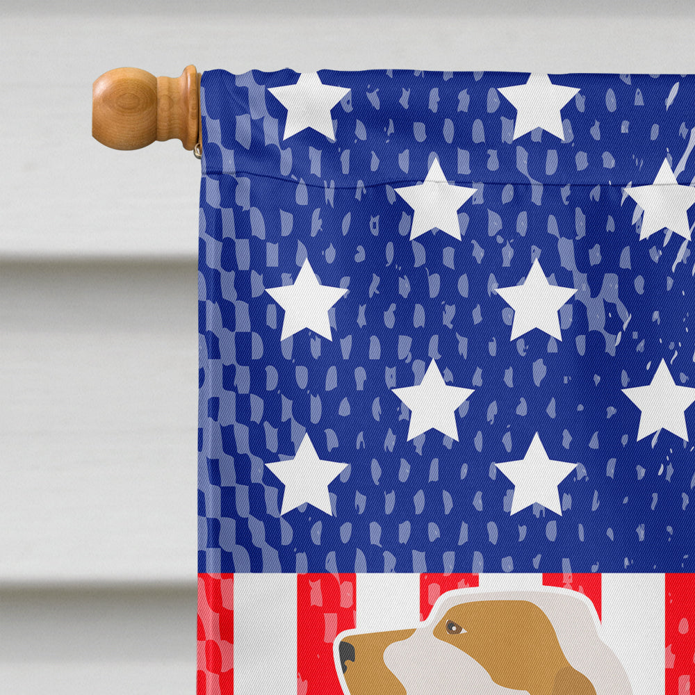 Ariege Pointer American House Flag 28x40 Porch Sleeve Pole Decorative Outside Yard Banner Artwork Wall Hanging, Polyester