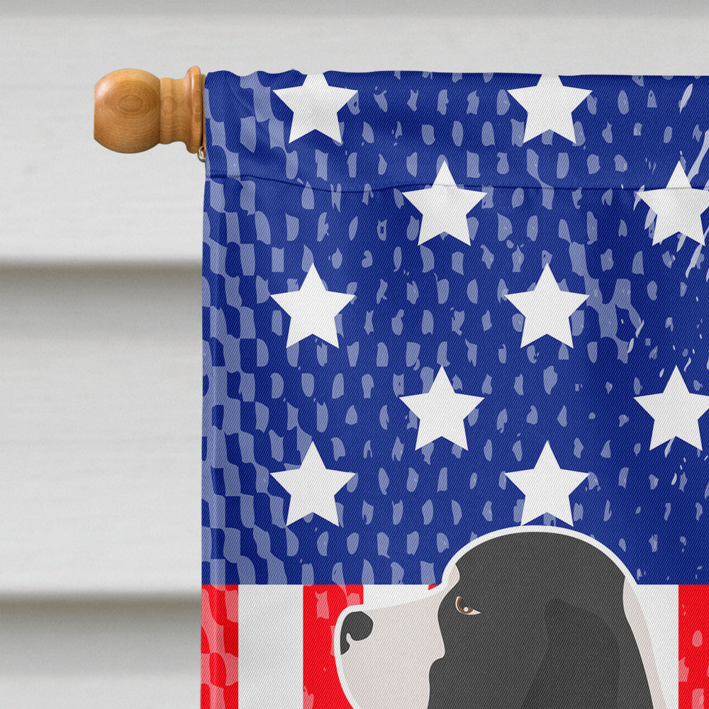 English Springer Spaniel American House Flag 28x40 Porch Sleeve Pole Decorative Outside Yard Banner Artwork Wall Hanging, Polyester