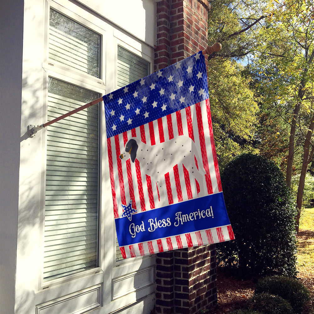 Gascon Saintongeois American House Flag 28x40 Porch Sleeve Pole Decorative Outside Yard Banner Artwork Wall Hanging, Polyester