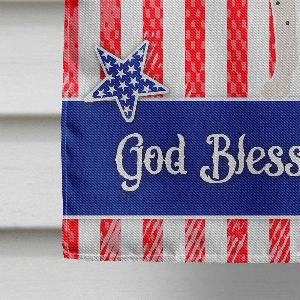 Gascon Saintongeois American House Flag 28x40 Porch Sleeve Pole Decorative Outside Yard Banner Artwork Wall Hanging, Polyester