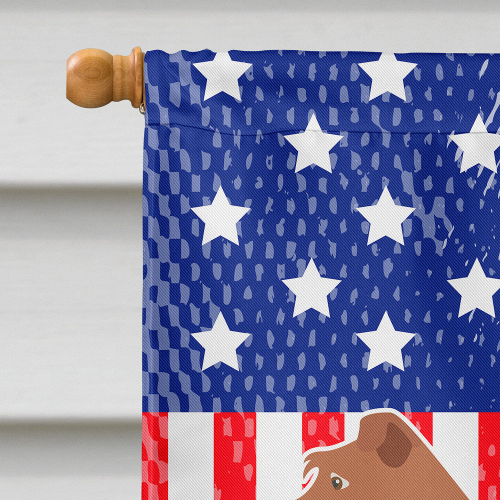 Irish Terrier American House Flag 28x40 Porch Sleeve Pole Decorative Outside Yard Banner Artwork Wall Hanging, Polyester