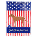 Rhodesian Ridgeback American House Flag 28x40 Porch Sleeve Pole Decorative Outside Yard Banner Artwork Wall Hanging, Polyester