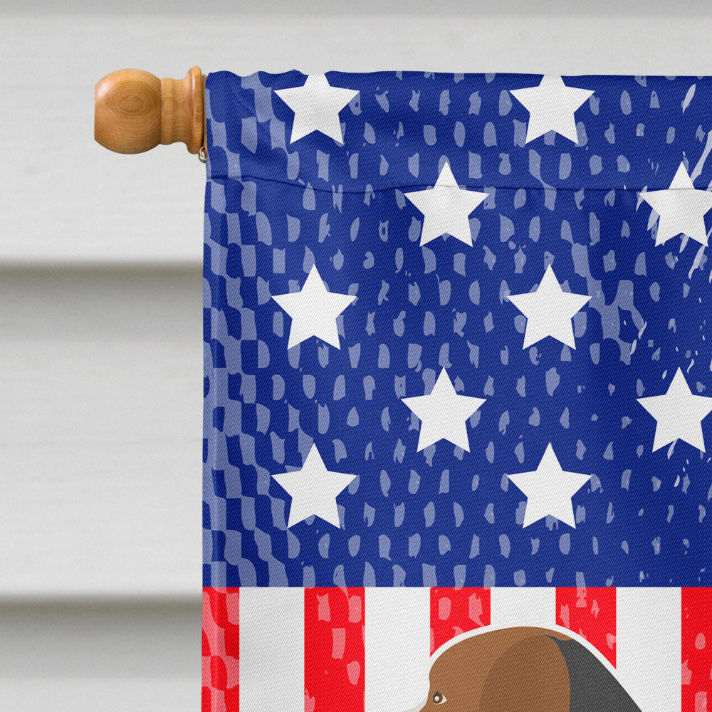 Hamiltonstövare American House Flag 28x40 Porch Sleeve Pole Decorative Outside Yard Banner Artwork Wall Hanging, Polyester