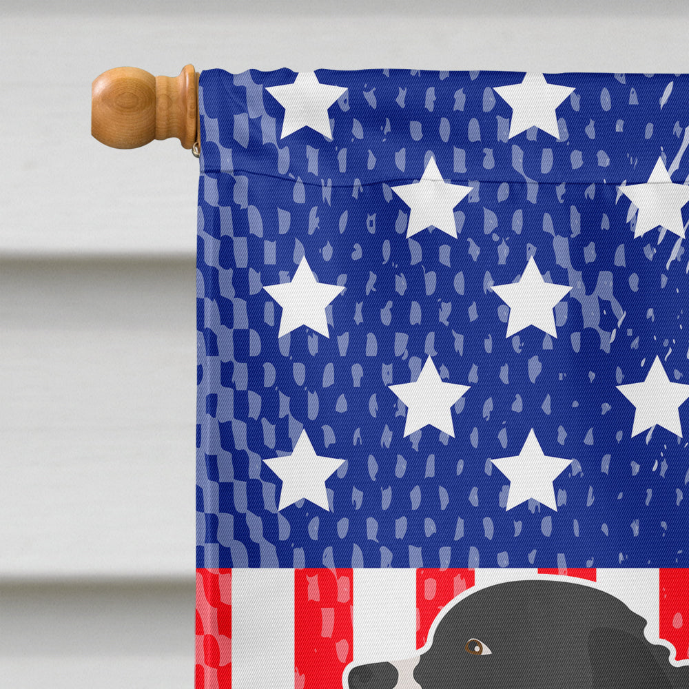 Wetterhoun Frisian Water Dog American House Flag 28x40 Porch Sleeve Pole Decorative Outside Yard Banner Artwork Wall Hanging, Polyester