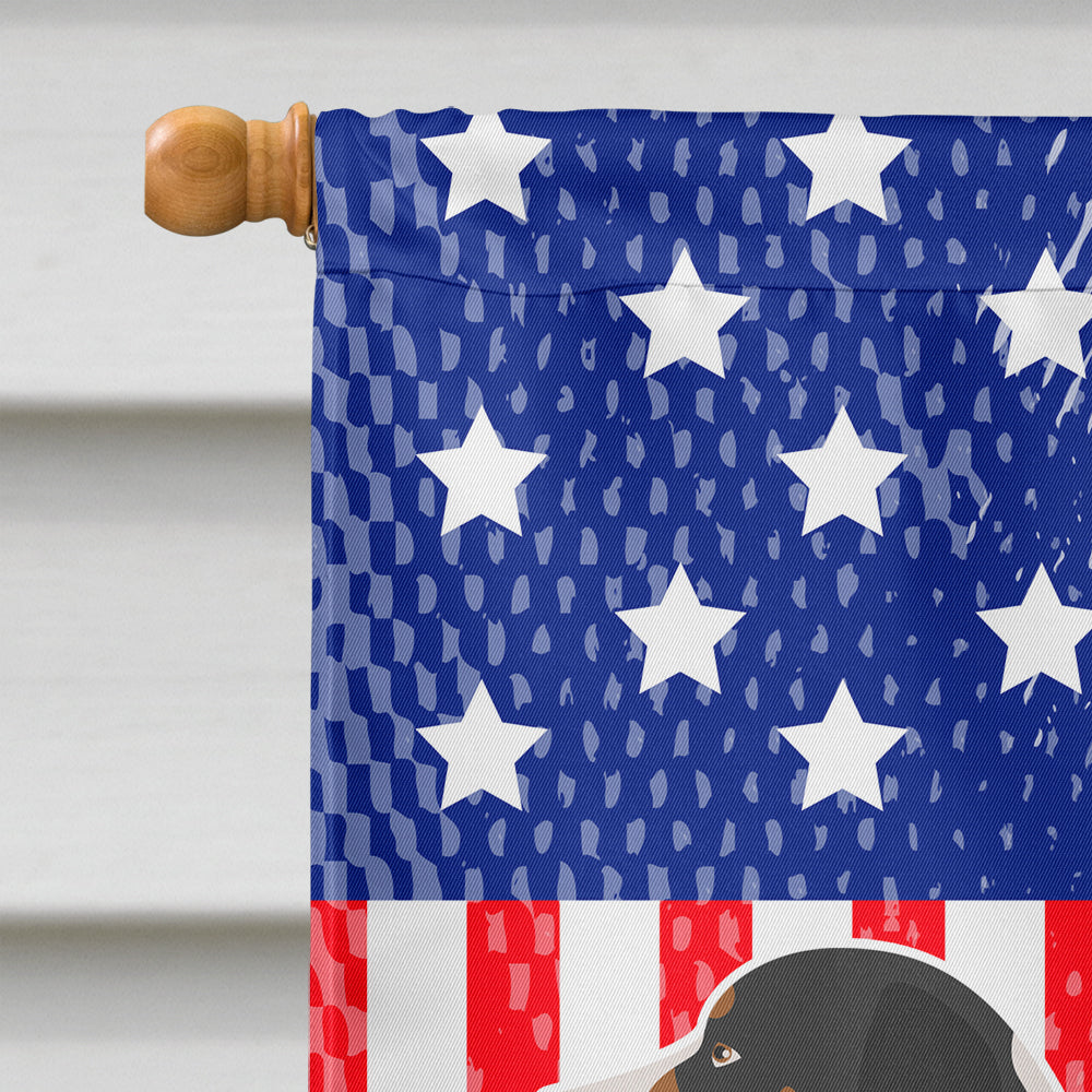 Appenzeller Sennenhund American House Flag 28x40 Porch Sleeve Pole Decorative Outside Yard Banner Artwork Wall Hanging, Polyester