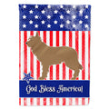 Berger Picard American House Flag 28x40 Porch Sleeve Pole Decorative Outside Yard Banner Artwork Wall Hanging, Polyester