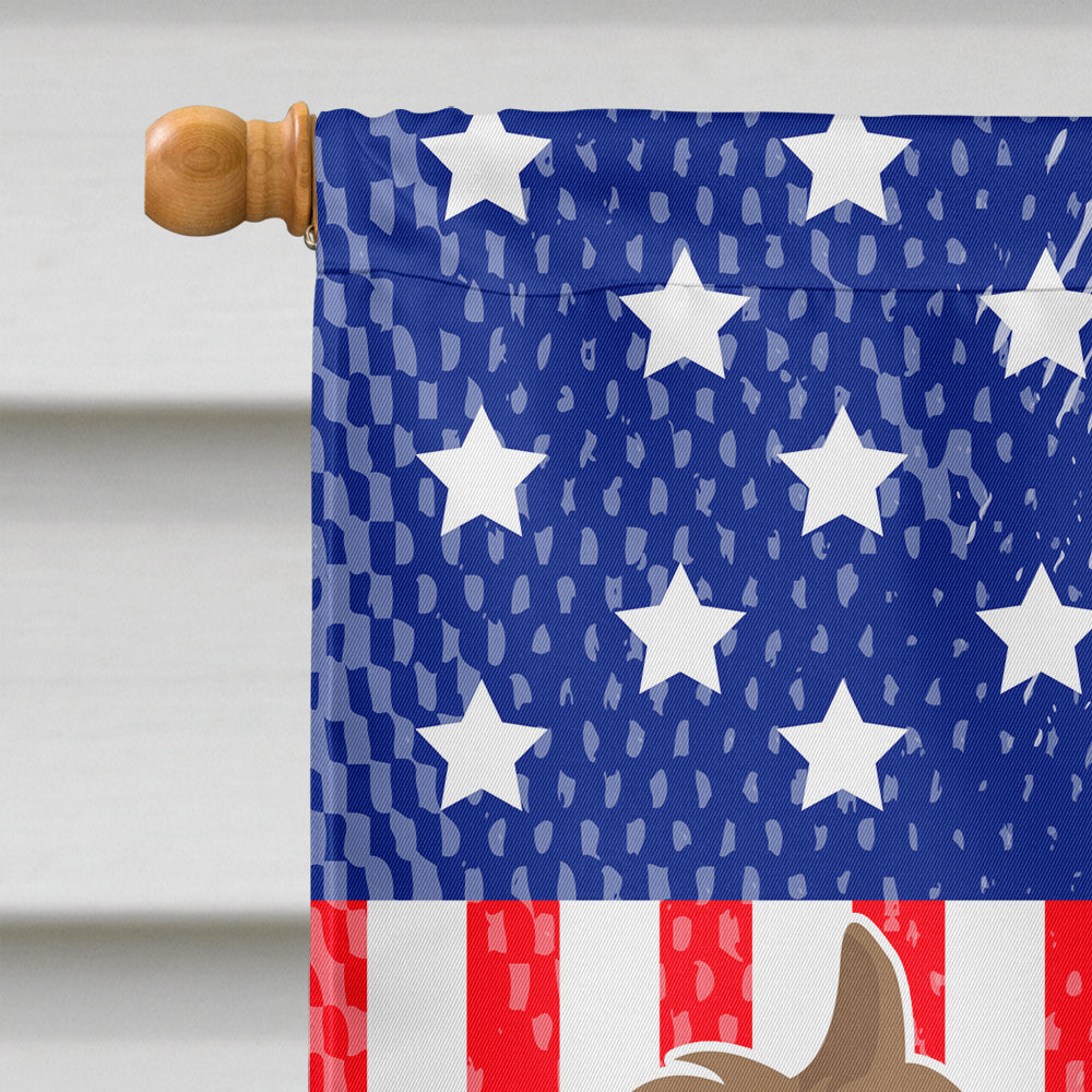 Berger Picard American House Flag 28x40 Porch Sleeve Pole Decorative Outside Yard Banner Artwork Wall Hanging, Polyester