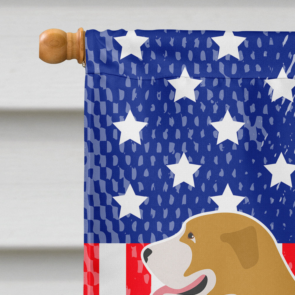 Belgium Mastiff American House Flag 28x40 Porch Sleeve Pole Decorative Outside Yard Banner Artwork Wall Hanging, Polyester