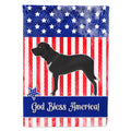 Broholmer Danish Mastiff American House Flag 28x40 Porch Sleeve Pole Decorative Outside Yard Banner Artwork Wall Hanging, Polyester