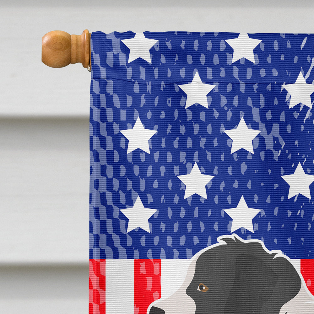 Landseer American House Flag 28x40 Porch Sleeve Pole Decorative Outside Yard Banner Artwork Wall Hanging, Polyester