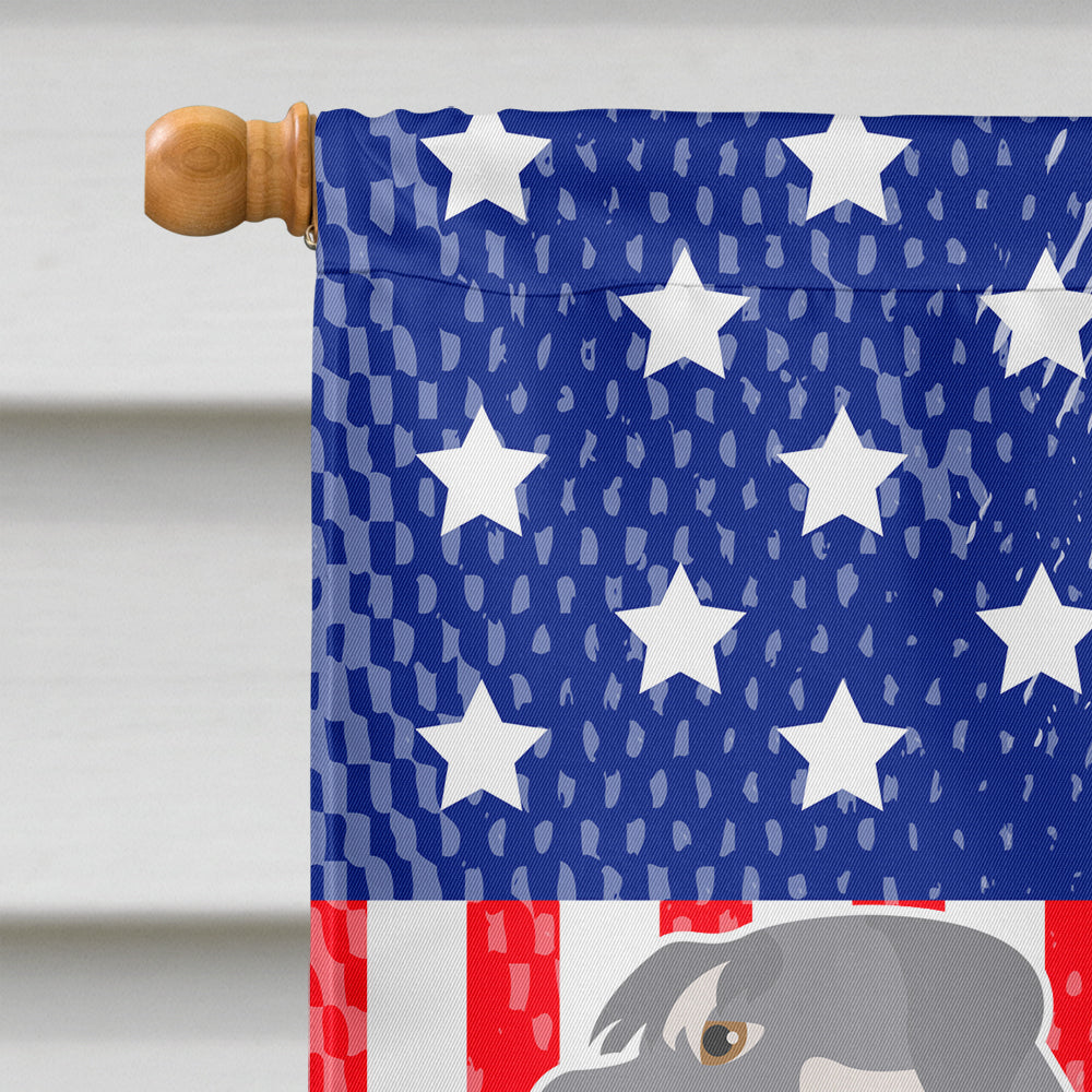 Schnauzer American House Flag 28x40 Porch Sleeve Pole Decorative Outside Yard Banner Artwork Wall Hanging, Polyester