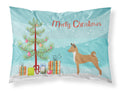 Telomian Christmas Standard Pillowcase Lightweight Super Soft Easy Care Decorative Artwork Pillowcase, Standard