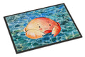 Crab Doormat Indoor Outdoor 24H X 36W Front Door Mat Rugs for Entryway, Non Slip Washable Low Pile,