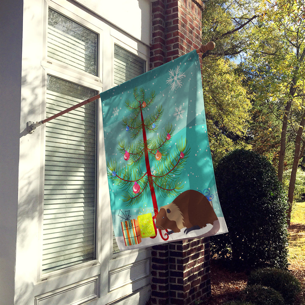 Coypu Nutria River Rat Christmas House Flag 28x40 Porch Sleeve Pole Decorative Outside Yard Banner Artwork Wall Hanging, Polyester