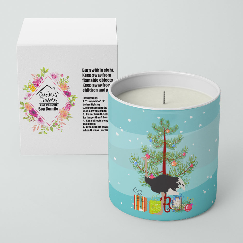 Common Ostrich Christmas Decorative Soy Candle Nature Soy Wax Essential Oil Home Decor Ideal for Bedroom Kitchen Bath Office Gift, 10 oz