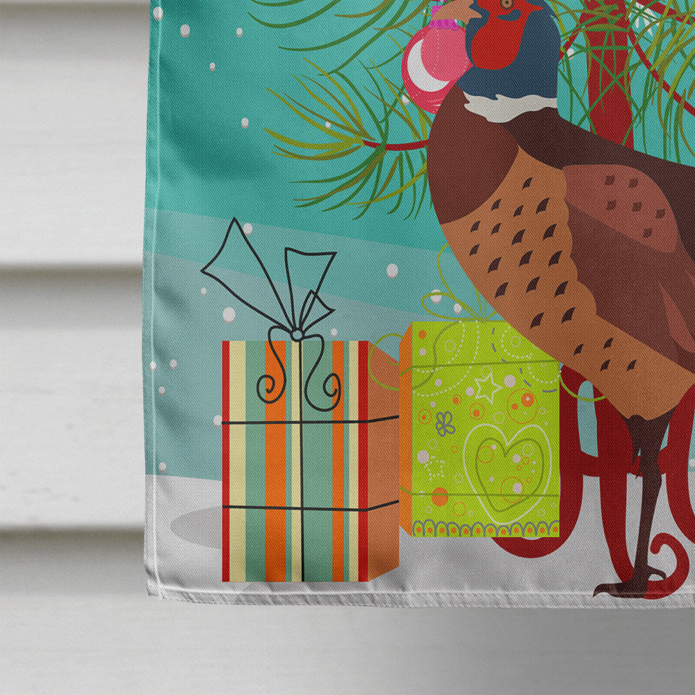 Ring-necked Common Pheasant Christmas House Flag 28x40 Porch Sleeve Pole Decorative Outside Yard Banner Artwork Wall Hanging, Polyester