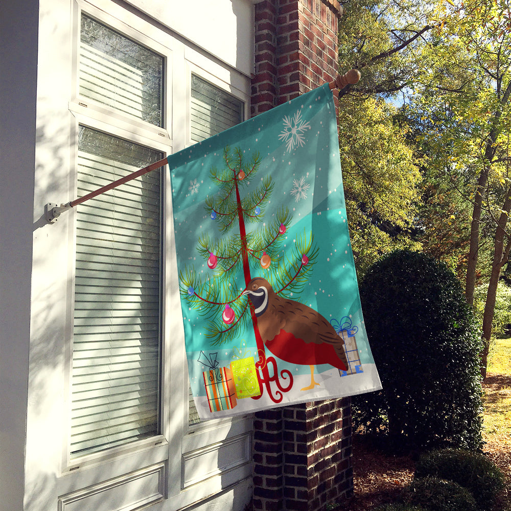 Chinese Painted or King Quail Christmas House Flag 28x40 Porch Sleeve Pole Decorative Outside Yard Banner Artwork Wall Hanging, Polyester