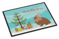 Lionhead Rabbit Christmas Doormat Indoor Outdoor 18H X 27W Front Door Mat Rugs for Entryway, Non Slip Washable